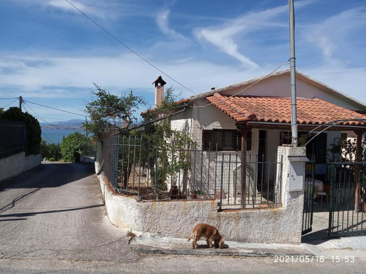 Villa Sea View Dilesi Dhílesi Exterior foto