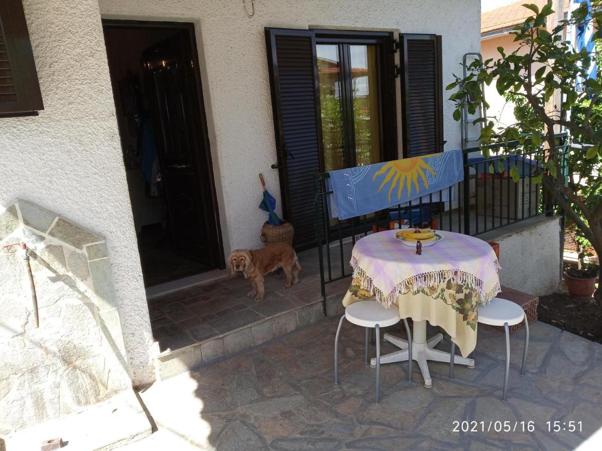 Villa Sea View Dilesi Dhílesi Exterior foto